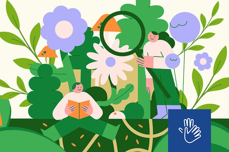 A stylised illustration of someone reading and someone standing with over-sized flowers and plants. The NZSL logo sits overlayed in the bottom right.
